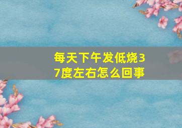 每天下午发低烧37度左右怎么回事