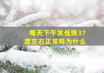 每天下午发低烧37度左右正常吗为什么