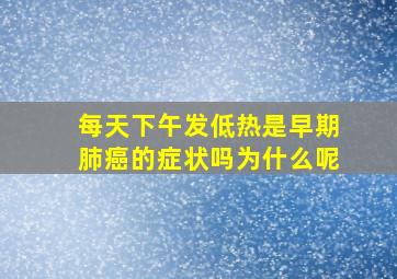 每天下午发低热是早期肺癌的症状吗为什么呢