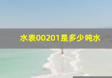 水表00201是多少吨水