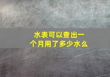 水表可以查出一个月用了多少水么