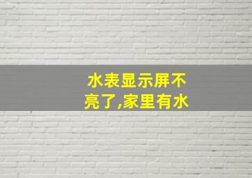 水表显示屏不亮了,家里有水