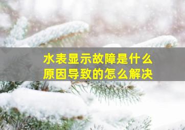 水表显示故障是什么原因导致的怎么解决