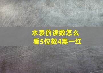 水表的读数怎么看5位数4黑一红