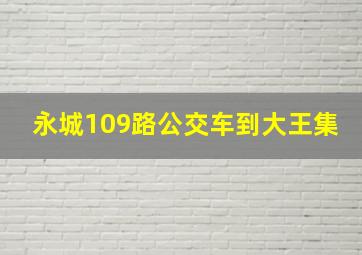 永城109路公交车到大王集