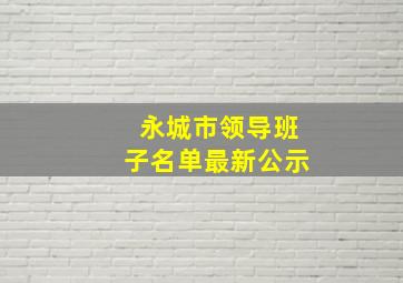 永城市领导班子名单最新公示