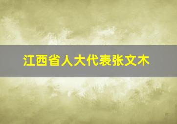 江西省人大代表张文木