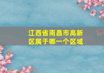 江西省南昌市高新区属于哪一个区域