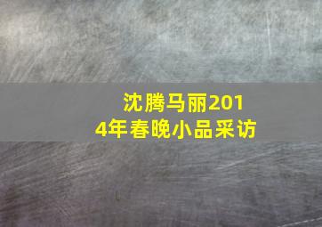 沈腾马丽2014年春晚小品采访