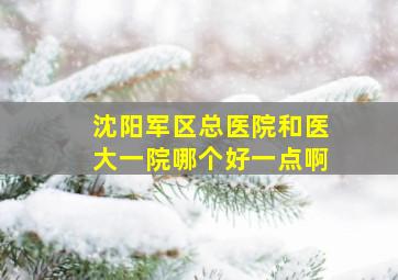 沈阳军区总医院和医大一院哪个好一点啊