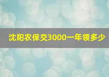 沈阳农保交3000一年领多少