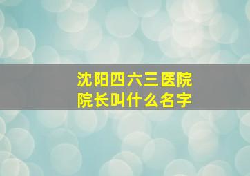 沈阳四六三医院院长叫什么名字