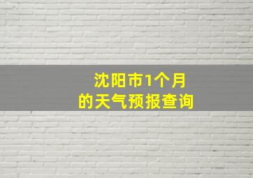 沈阳市1个月的天气预报查询