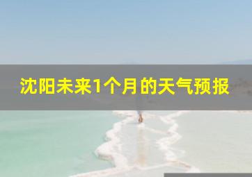 沈阳未来1个月的天气预报