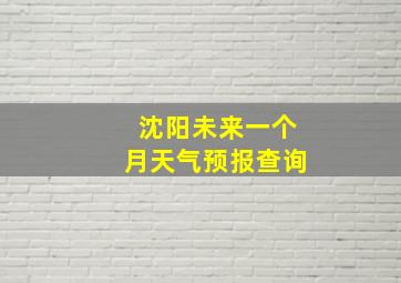 沈阳未来一个月天气预报查询