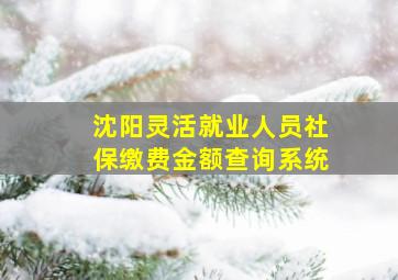 沈阳灵活就业人员社保缴费金额查询系统