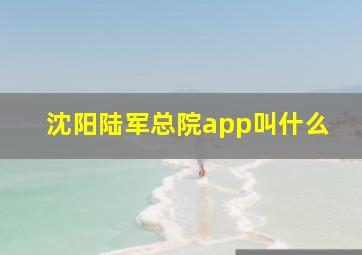 沈阳陆军总院app叫什么