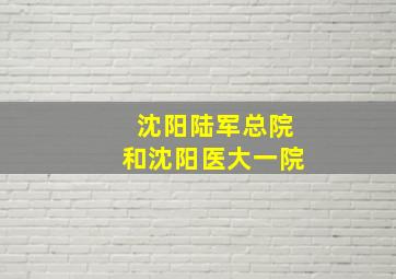 沈阳陆军总院和沈阳医大一院