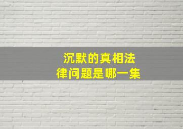 沉默的真相法律问题是哪一集