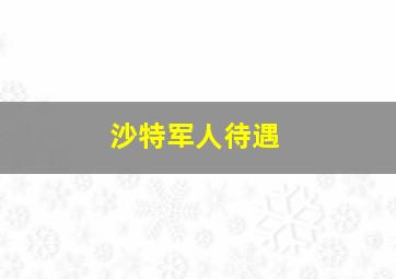 沙特军人待遇