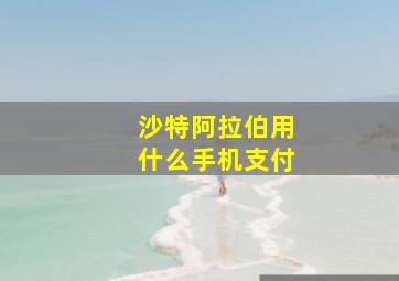 沙特阿拉伯用什么手机支付