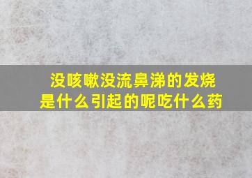 没咳嗽没流鼻涕的发烧是什么引起的呢吃什么药