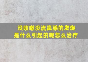 没咳嗽没流鼻涕的发烧是什么引起的呢怎么治疗