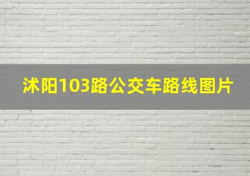 沭阳103路公交车路线图片