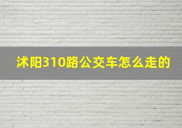 沭阳310路公交车怎么走的