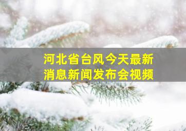 河北省台风今天最新消息新闻发布会视频