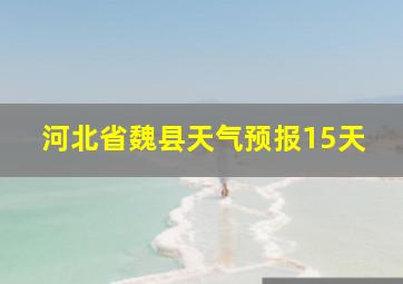 河北省魏县天气预报15天