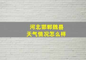 河北邯郸魏县天气情况怎么样