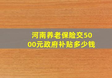 河南养老保险交5000元政府补贴多少钱