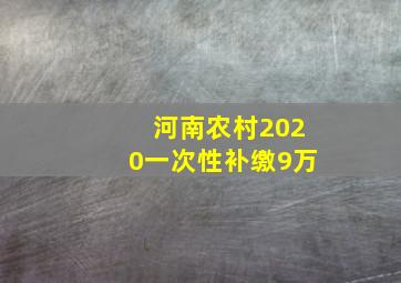 河南农村2020一次性补缴9万