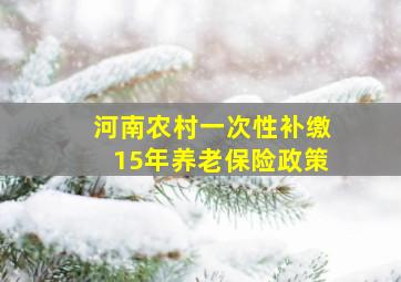 河南农村一次性补缴15年养老保险政策