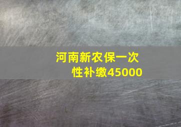 河南新农保一次性补缴45000