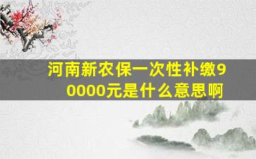 河南新农保一次性补缴90000元是什么意思啊