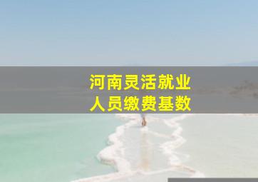 河南灵活就业人员缴费基数