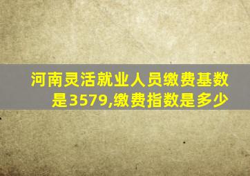 河南灵活就业人员缴费基数是3579,缴费指数是多少