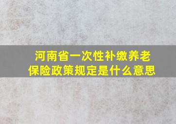 河南省一次性补缴养老保险政策规定是什么意思