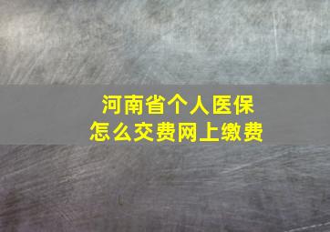 河南省个人医保怎么交费网上缴费