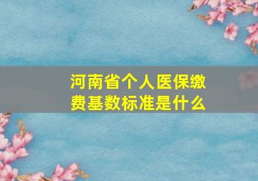 河南省个人医保缴费基数标准是什么