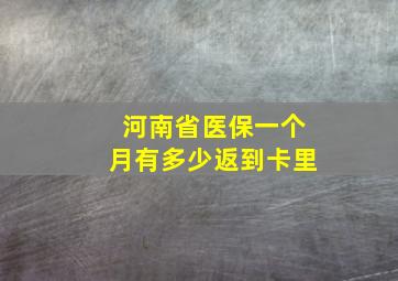 河南省医保一个月有多少返到卡里