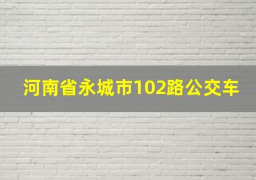 河南省永城市102路公交车