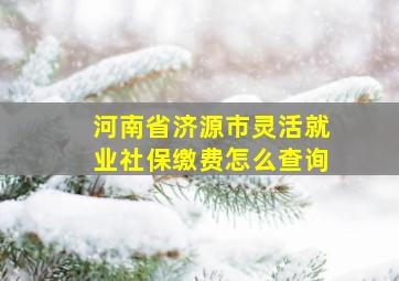 河南省济源市灵活就业社保缴费怎么查询