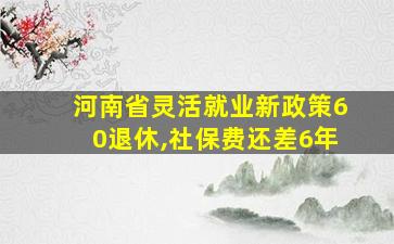 河南省灵活就业新政策60退休,社保费还差6年