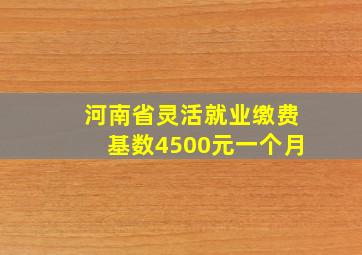 河南省灵活就业缴费基数4500元一个月