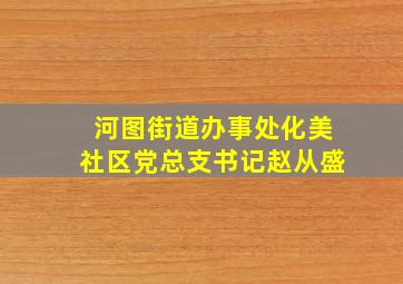 河图街道办事处化美社区党总支书记赵从盛