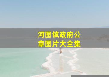 河图镇政府公章图片大全集