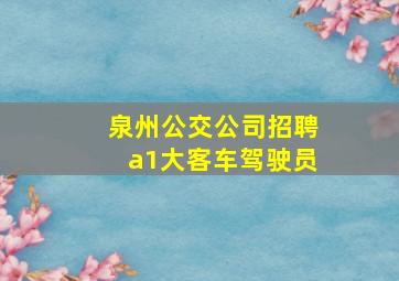 泉州公交公司招聘a1大客车驾驶员